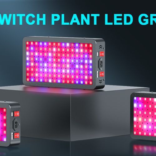 Phlizon led lights