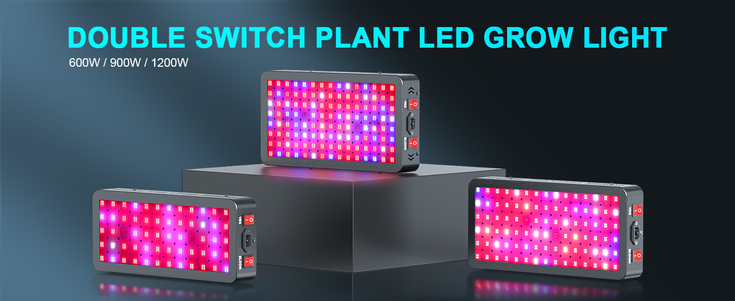 philizon daisy chain Phlizon led lights