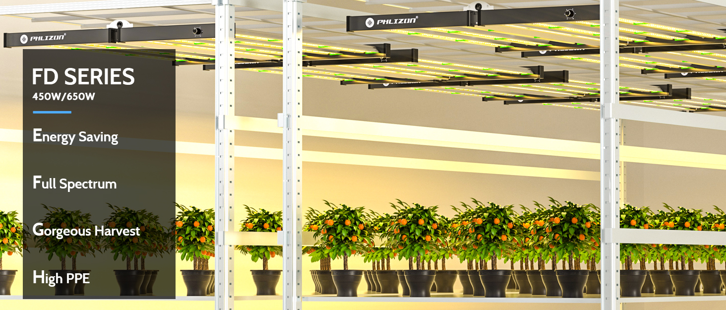 philizon fd brand Phlizon led lights