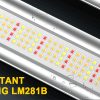 philizon led samsung lm281b Phlizon led lights
