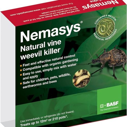 NEMASYS vine weevil 12m2