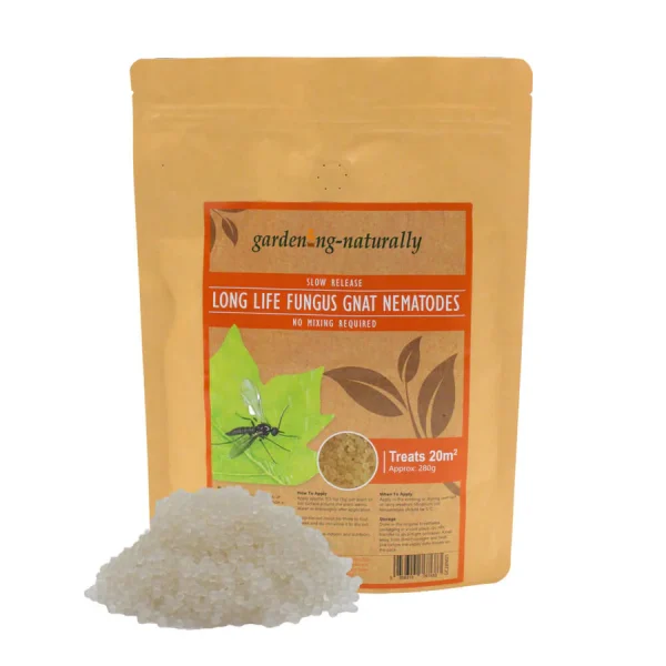 fungus-gnat-nematode-balls long life Long Life Fungus Gnat Nematodes 20sq.m (280g)